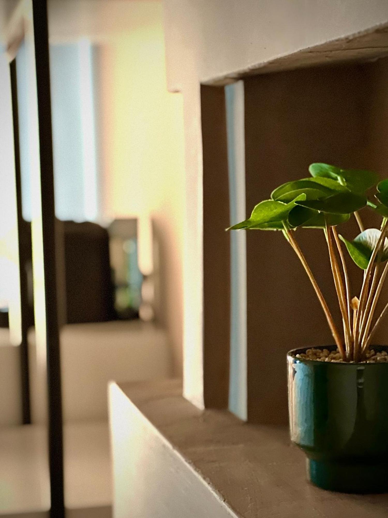 Rex Hotel Boutique 地拉那 外观 照片